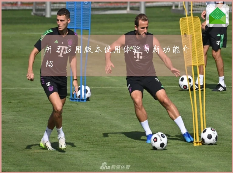 开云应用版本使用体验与新功能介绍